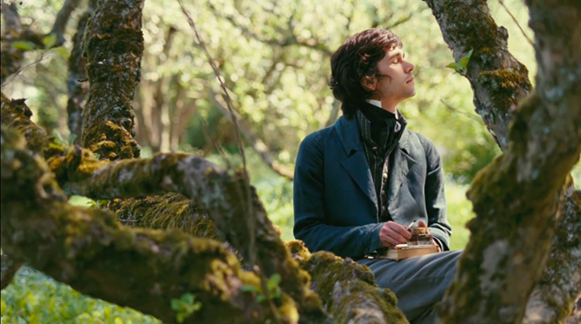 [Bright Star 7[4].png]